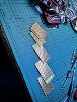 IMG_8383.jpeg