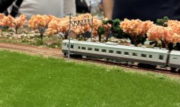 IMG_2574.jpeg