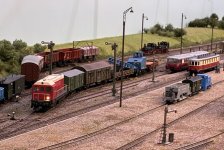 IMG_2618.jpeg