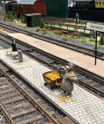 IMG_2642.jpeg