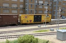 IMG_2651.jpeg