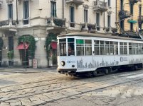 IMG_1866.jpeg