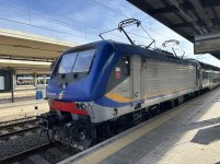 IMG_1571.jpeg
