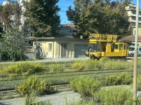 IMG_1485.jpeg