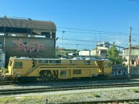 IMG_1483.jpeg