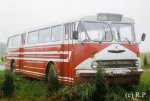 Ikarus 66 Doberan1.jpg