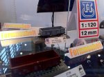 IMG_0678.jpg