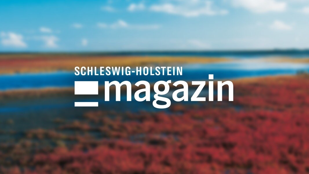www.ndr.de
