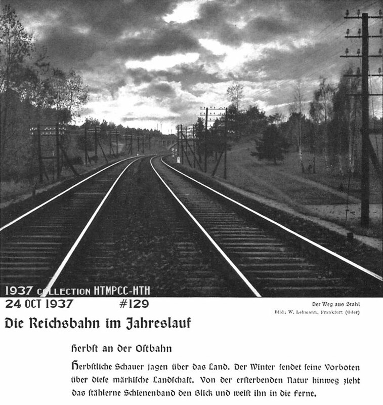 www.flickr.com